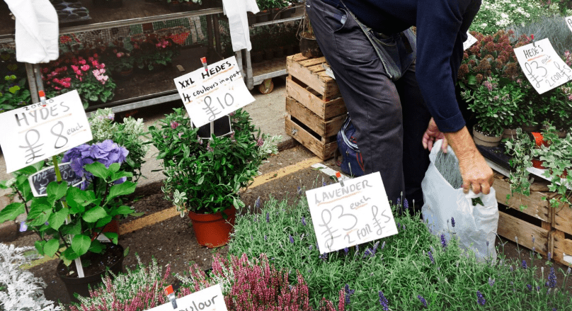 Best Crops to Grow in California This August