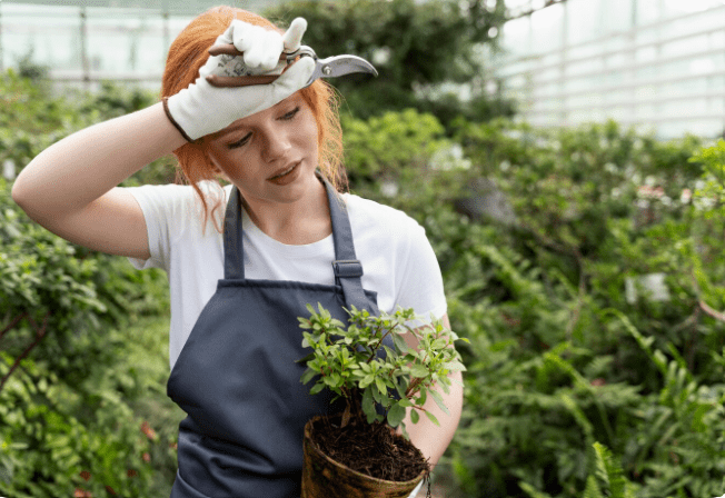 Gardening Mistakes In July