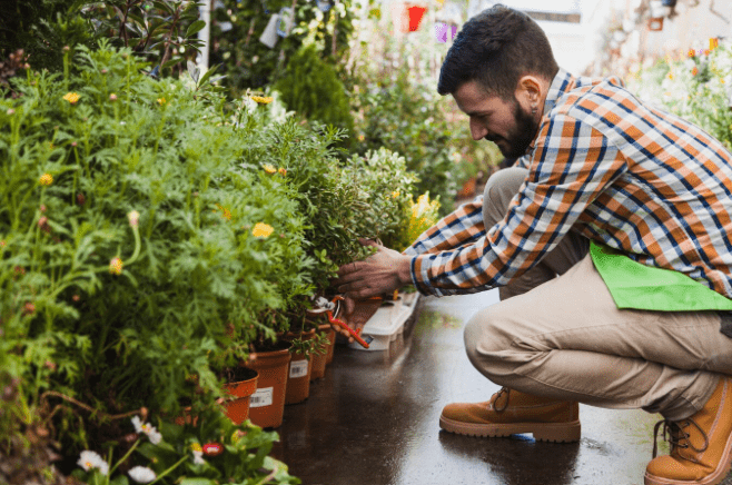 Herbs To Grow In Monsoon