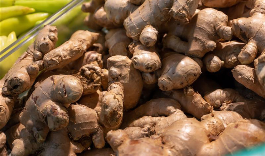 How to Grow Ginger