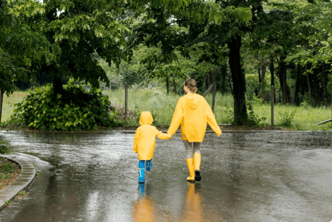 Top 5 Ways To Protect Your Garden From a Flood
