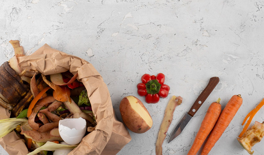 Reuse Kitchen Waste In Garden