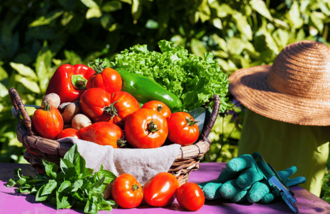 Vegetables To Grow In July