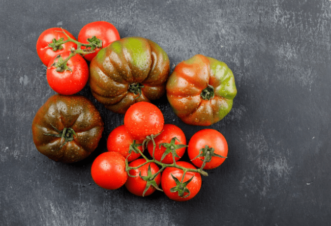 Common Tomato Diseases
