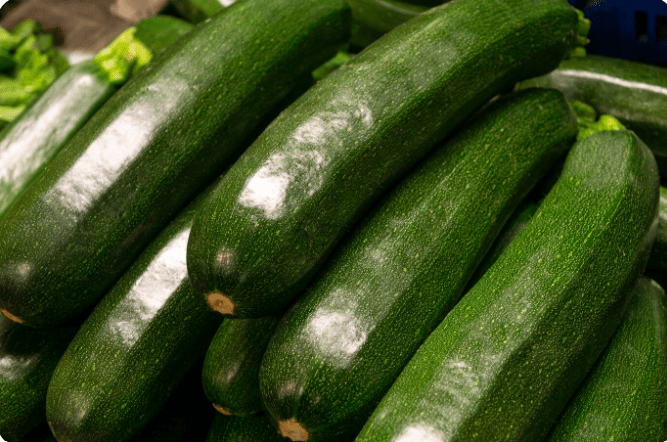 How to Grow Zucchini in Your Garden – 8 Expert Tips