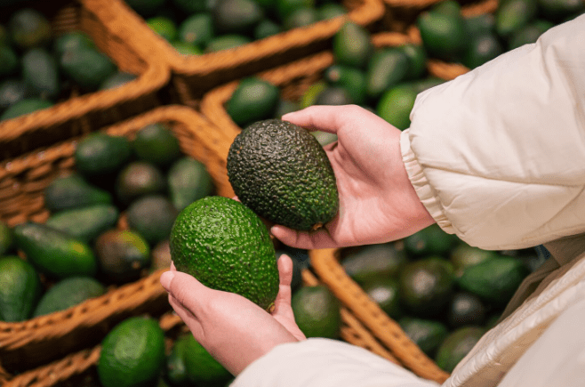 How to Grow Avocados From Seeds