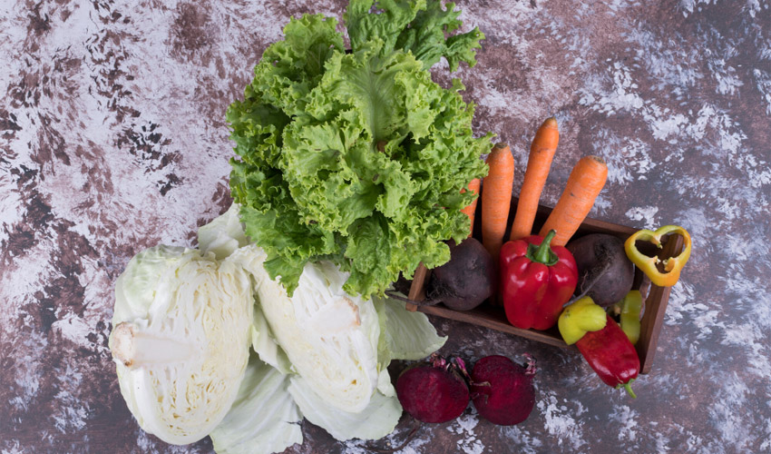 Vegetables to Plant in September In Your Home Garden