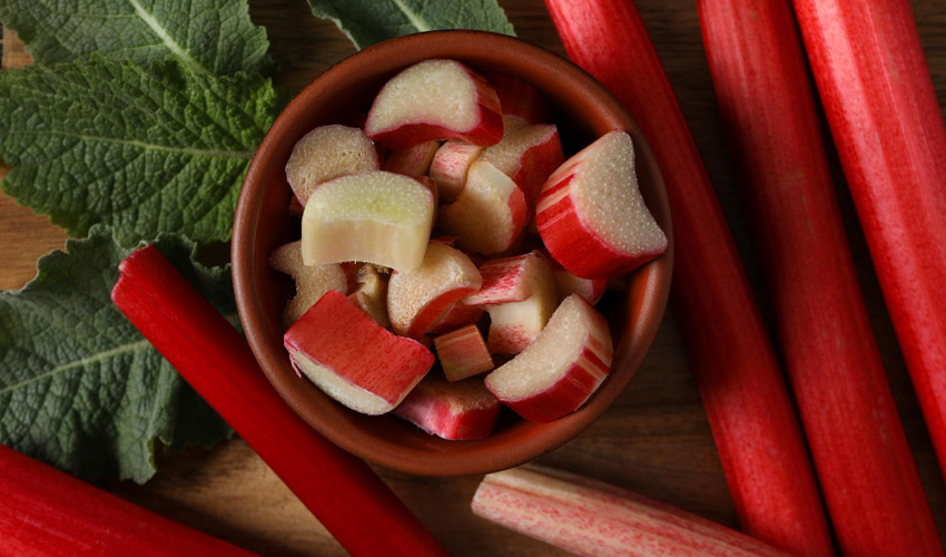 How To Grow Rhubarb